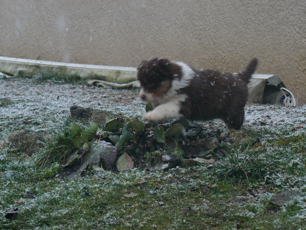9 février, encore la neige